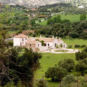 El Vihuelo El Bosque (Cadiz)
